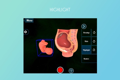 VR Fetus in the Uterus screenshot 3