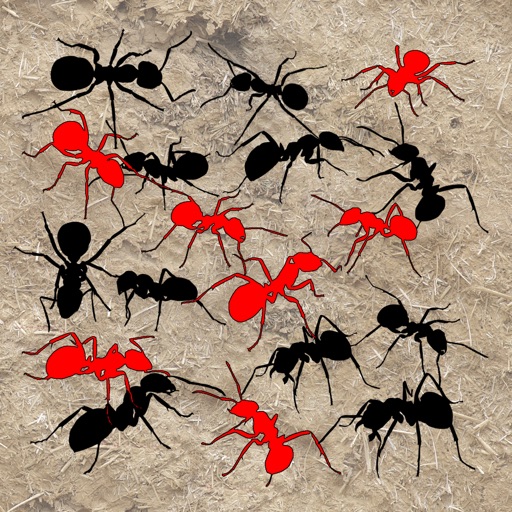Sights and Sounds: Ants iOS App