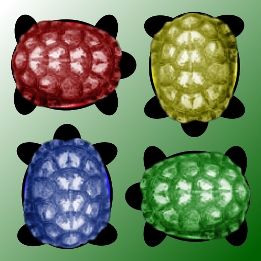 Turtle Racing Icon