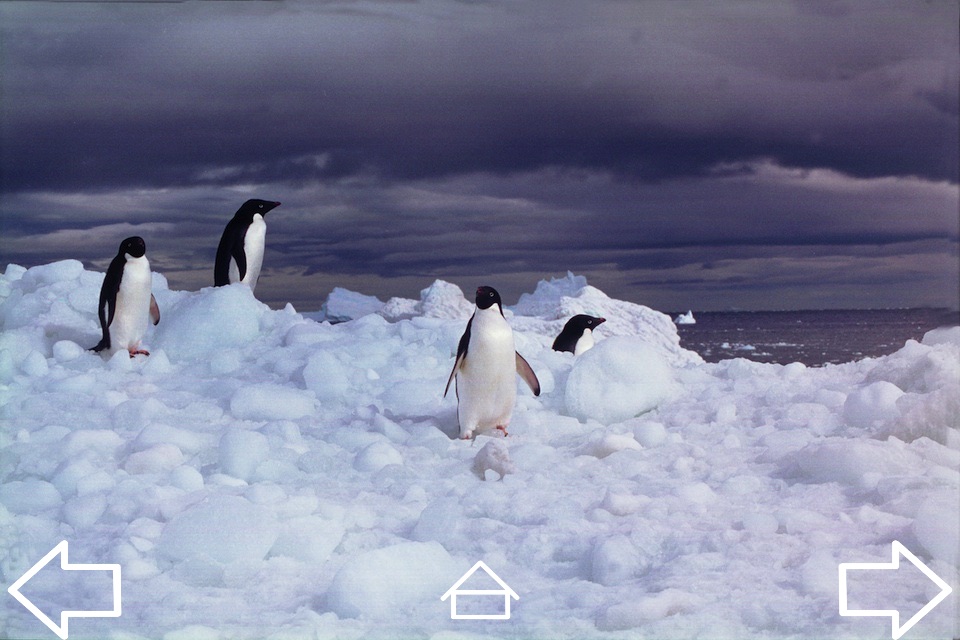 Mission Antarctica screenshot 3