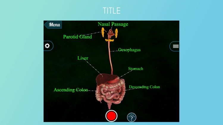 VR Human Digestive System