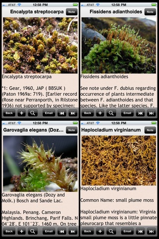 Moss Plant Bible screenshot 2