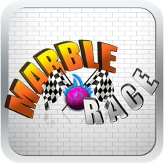 Activities of Marble Race: Labyrinth Racing Challenge