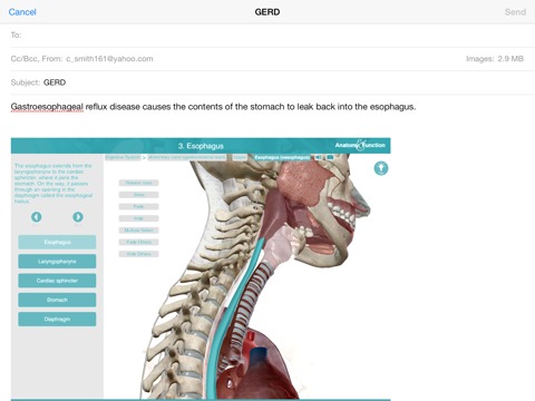 Anatomy & Function: A 3D Visual Reference of the Human Bodyのおすすめ画像5