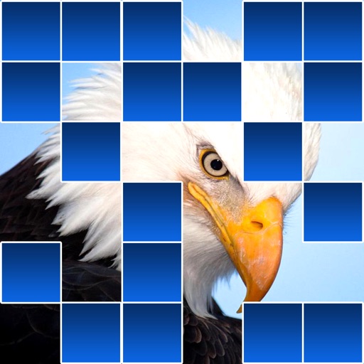 Guess The Animal Quiz - Reveal Edition icon