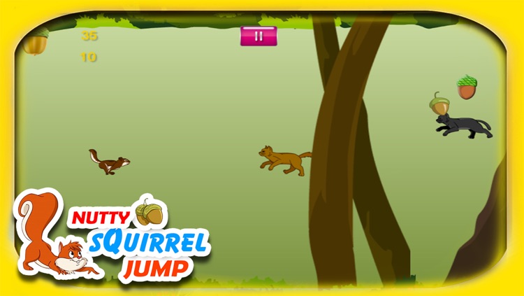 Nutty Squirrel Jump - Saving the Forest One Nut at a Time