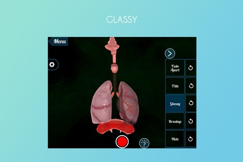Virtual Reality(VR)Human Lungs screenshot 4
