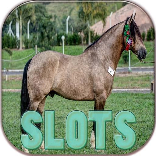 7 Lucky Dolphin Slots Machines - FREE Las Vegas Casino Games icon