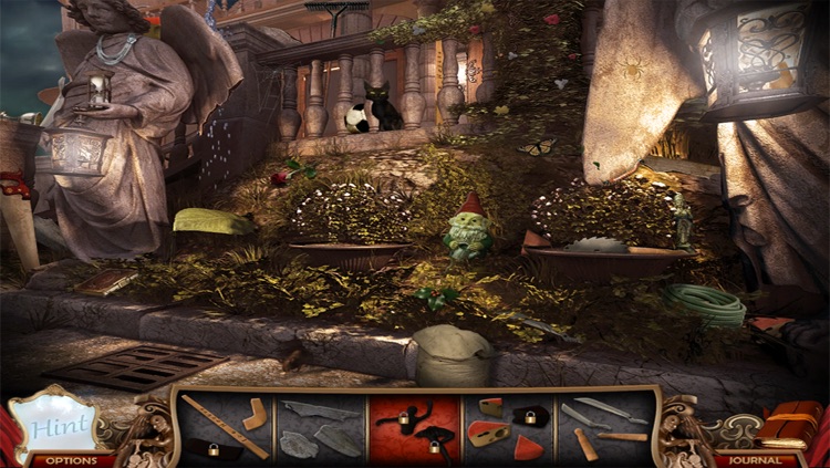 Mirror Mysteries: Forgotten Kingdoms Free