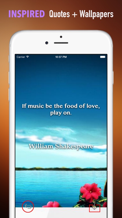 Cello Music Wallpapers HD: Quotes Backgrounds with Art Pictures screenshot-4
