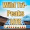 Wild Tri-Peaks brings you classic Tri-Peak solitaire and much more