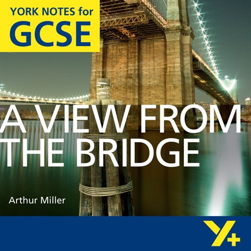 A View from the Bridge York Notes GCSE icon