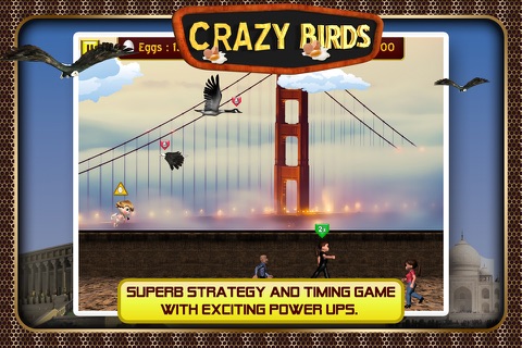 Crazy Birds screenshot 2