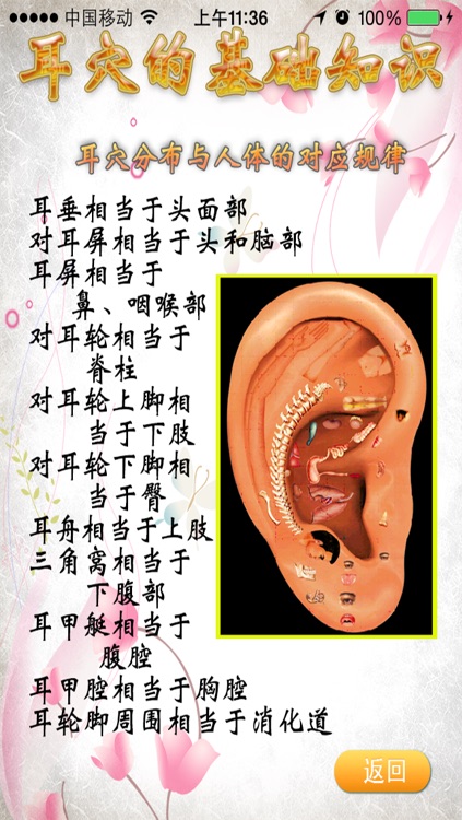 轻松学耳穴