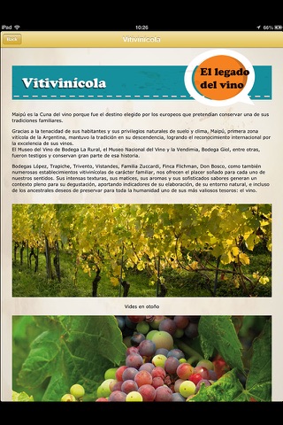 Maipú - Cuna del vino y el olivo screenshot 2