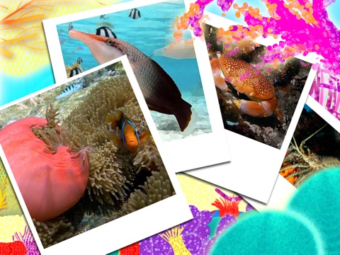 The Coral Reef Animals - Fish and Coral by EcoloRigolo screenshot 3