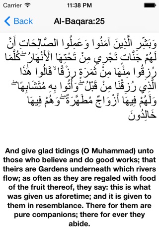 Quran Lighting screenshot 3