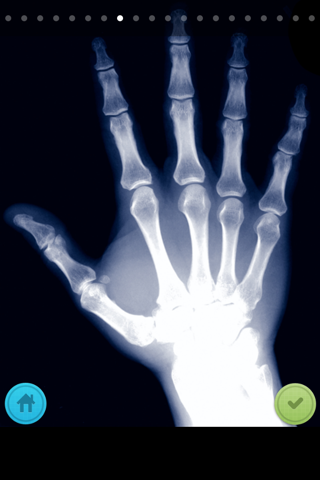 The X-Ray Scanner screenshot 3