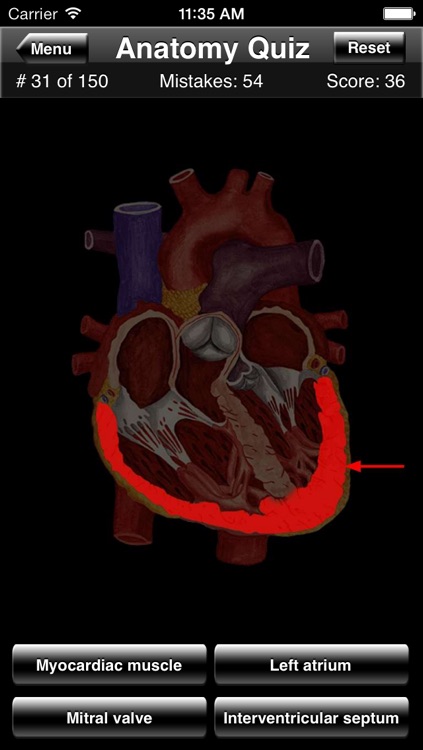 Anatomy Quiz