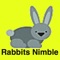 Players must quickly give rabbits avoiding obstacles