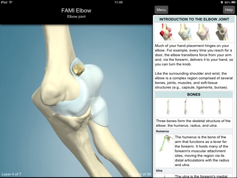 Functional Anatomy for Movement and Injuries: Elbow screenshot 2