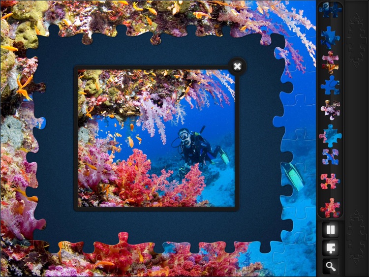 Jigsaw Puzzles 3 in 1 screenshot-4