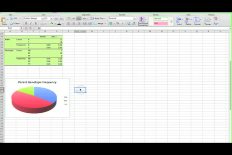 AP Biology Hardy-Weinberg Spreadsheet Tutorial screenshot 3