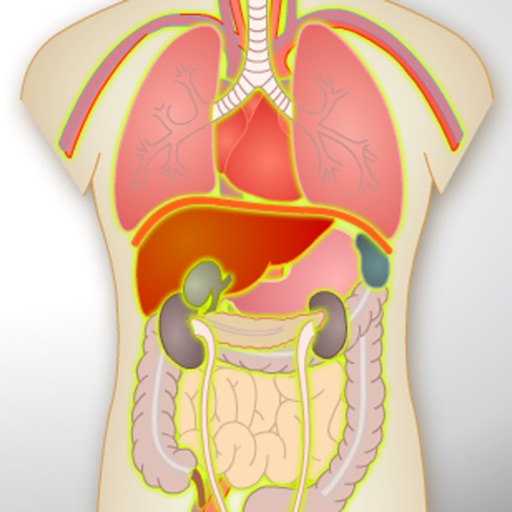 Human Anatomy Game icon