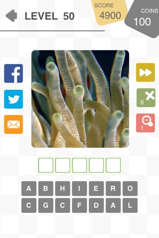 Close Up Quiz - Guess the Word from Zoomed In Photo screenshot 3