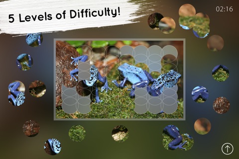 Venn Frogs: Overlapping Jigsaw Puzzles screenshot 2