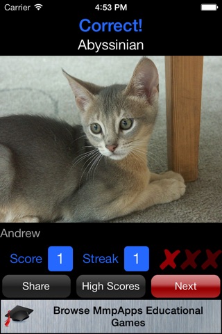 3Strike Kittens screenshot 2