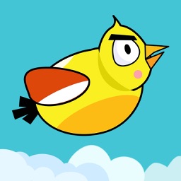 Fatty Bird Never Dies: Crash the Pipes!