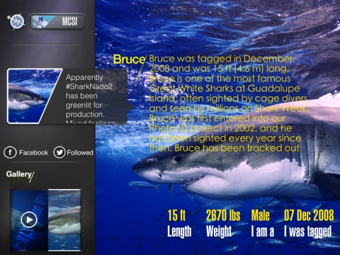 Expedition White Shark (iPad) screenshot 4