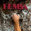 FEMSA 2013 Annual Report