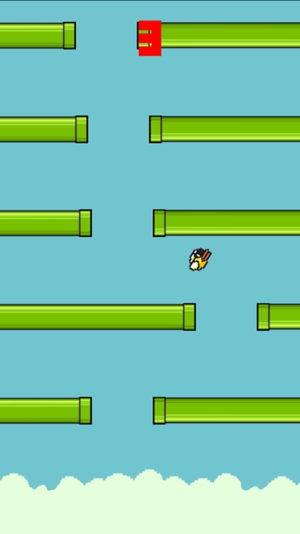 Snappy Bird - New Season