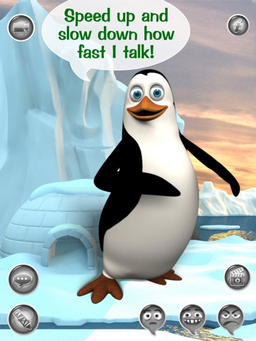 Hi, Talky Pat! HD FREE - The Talking Penguin: Text, Talk And Play With A Funny Animal Friend screenshot 4