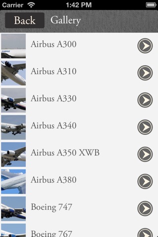 Jumbo Jets: Wide Body Aircraft screenshot 2
