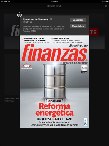 Revista IMEF screenshot 2