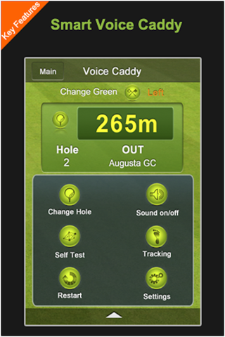 Voice Caddy Lite screenshot 3