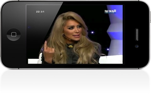 Arabic TV HD+ screenshot 2