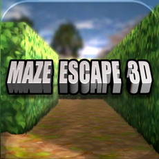 Activities of Maze Escape 3D