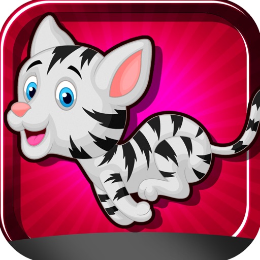 A Cat Crossing Pro Game Full Version icon