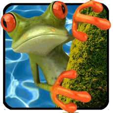 Activities of Jumping Frog Game