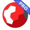 Bundesliga Pro