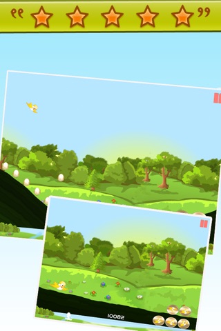 Baby Bird's First Flight Pro screenshot 4