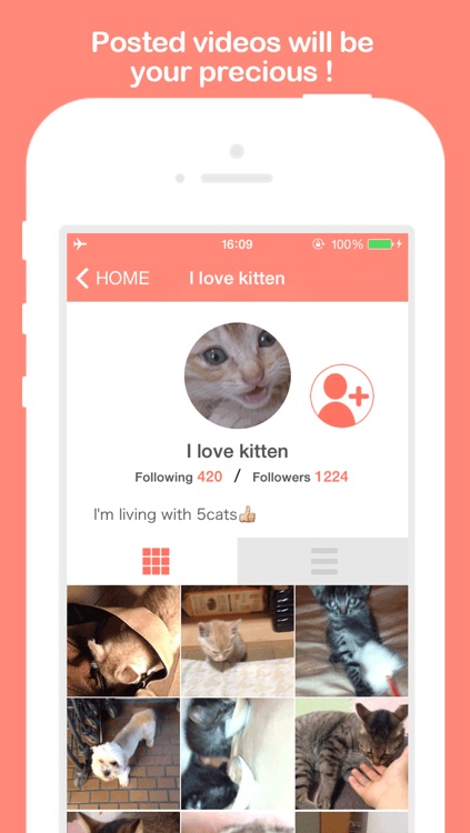 PiVid～You can  share 15 sec videos related to pets !～ screenshot-3