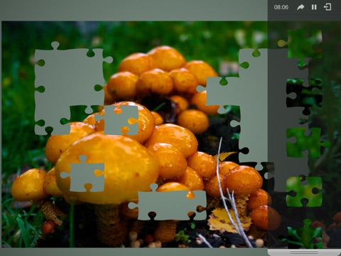 A Jigsaw a Day screenshot 2