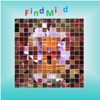 FindMind