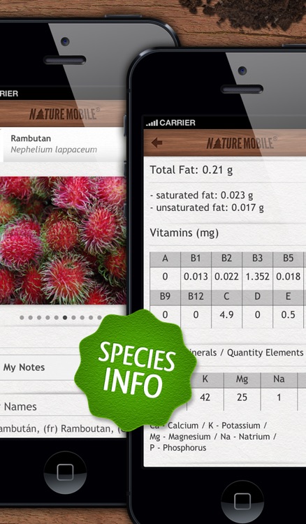 Nuts - NATURE MOBILE screenshot-4