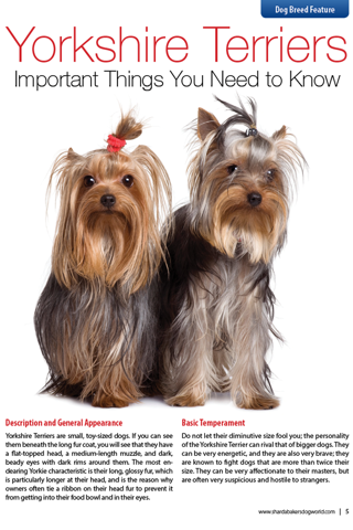 Sharda Bakers Dog World Magazine - Everything you need to know about the amazing world of dogs. screenshot 3